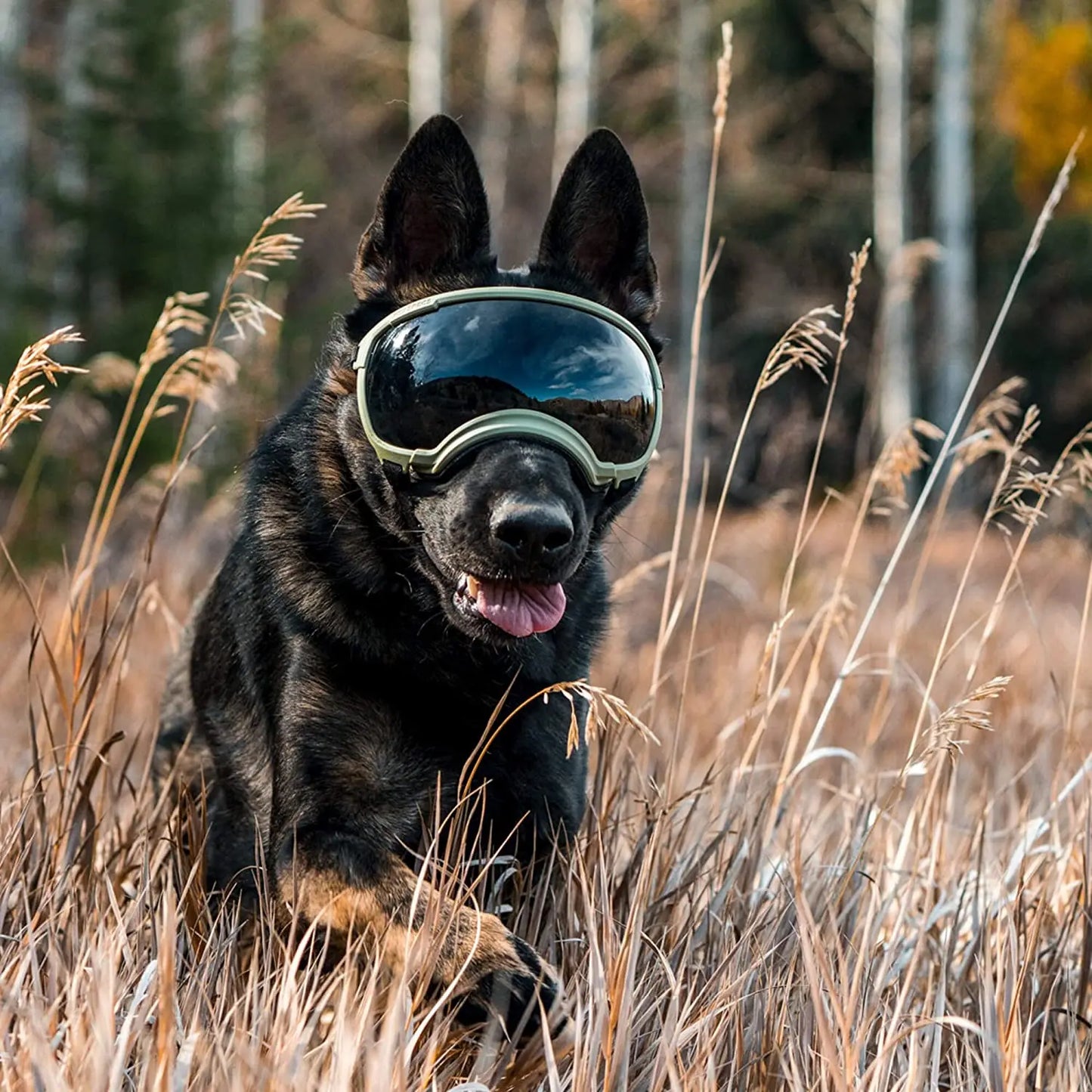 Lunettes Forte résistance