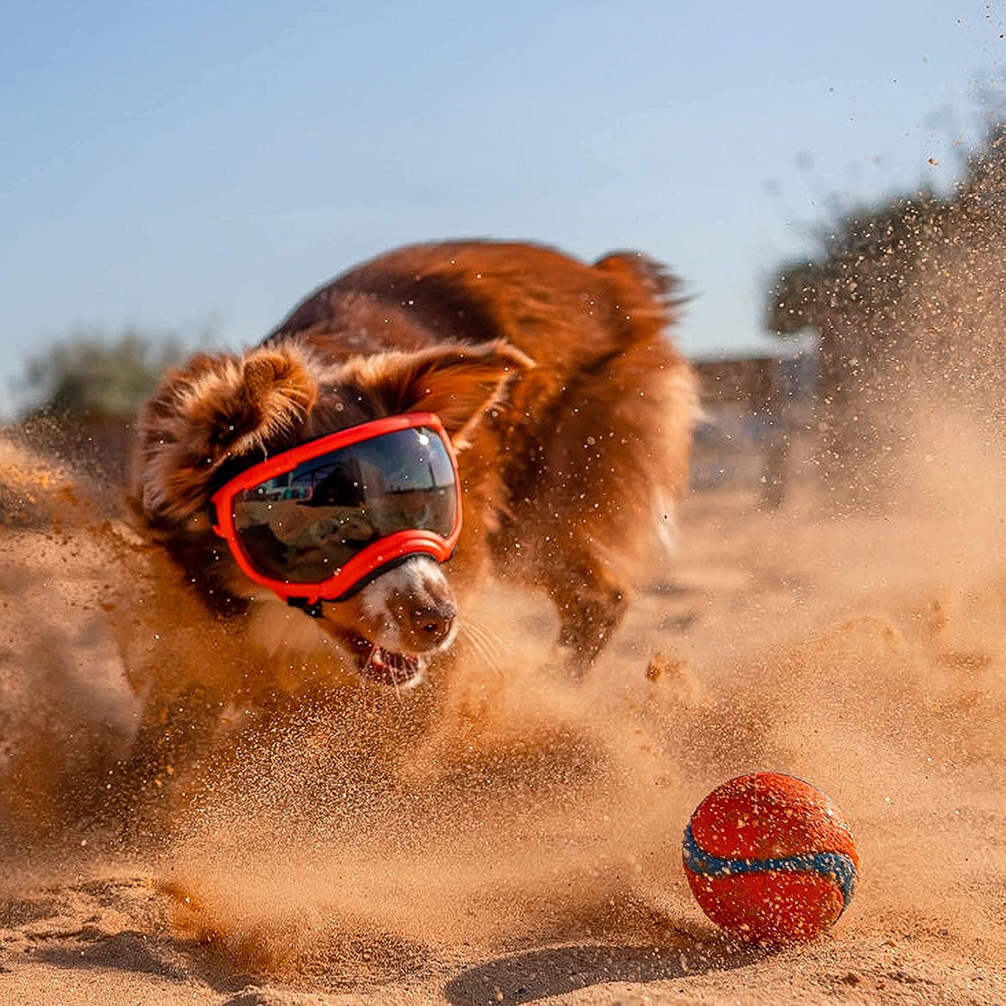 Lunettes Forte résistance