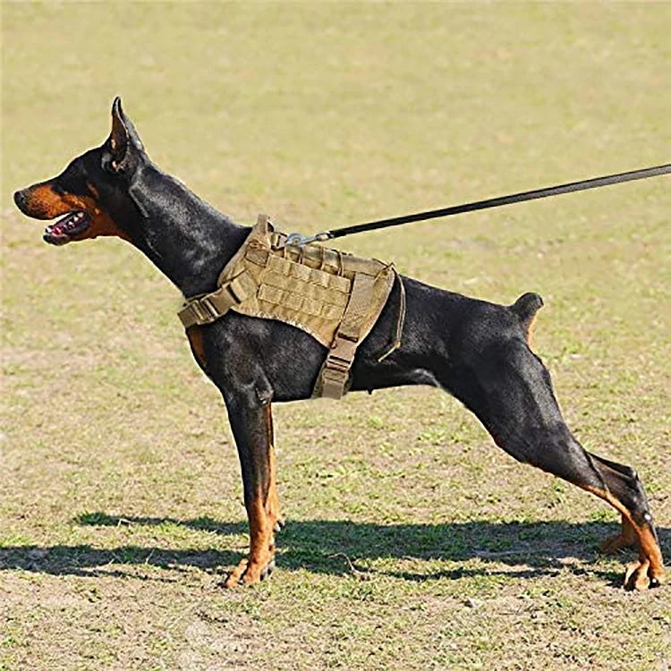 Harnais Militaire K9